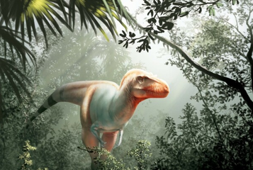 SnapCrab_NoName_2020-2-11_15-1-33_No-00