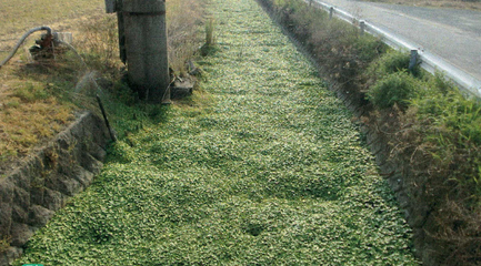 SnapCrab_NoName_2020-2-10_21-13-20_No-00