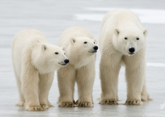 SnapCrab_NoName_2020-7-21_19-18-20_No-00