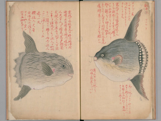 SnapCrab_NoName_2020-7-20_19-4-0_No-00